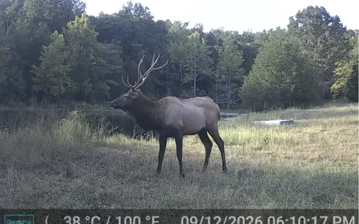 Land With Springpond For Sale Borders Public Lands Shannon County