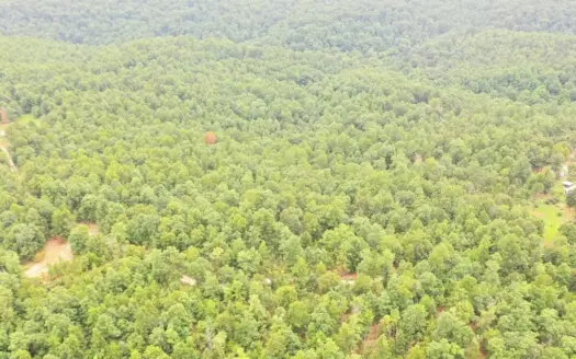20 ± Acres of Off-Grid Hunting Land for Sale in Salem, MO