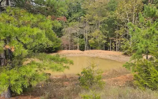Vacant Land with Beautiful Building Sites/Oark County//Zanoni MO