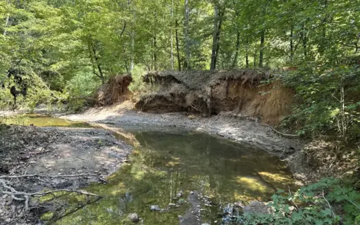 East Texas Hunting/Recreational Tract For Sale