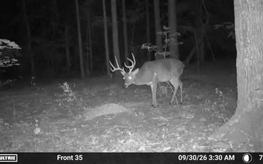 East Texas Hunting Property For Sale