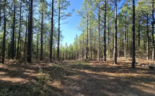 Off-Grid Mountain Homestead Property – For Sale