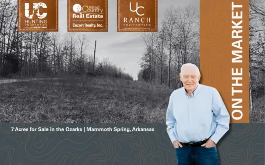 7 Acres for Sale in the Ozarks | Mammoth Spring, Arkansas