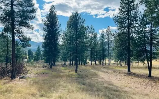 Lot in Plains, Montana with Mountain Views