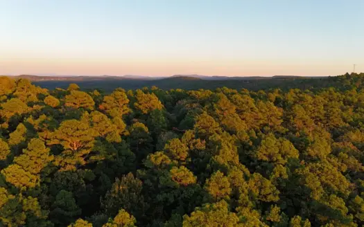 5 Acre Hunting Land FOR SALE in Latimer County, OK