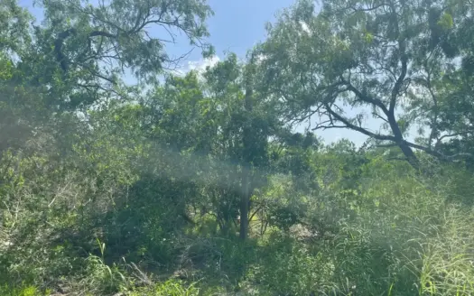 2 Acres Ready for Your Dream Home Near Skidmore