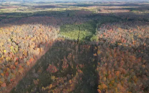 160 ± Acre Hunting Land with Camp Site Near Butternut, WI
