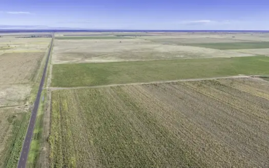 170.85+/- Acres in SE Lamb County 25 minutes from Lubbock, Texas