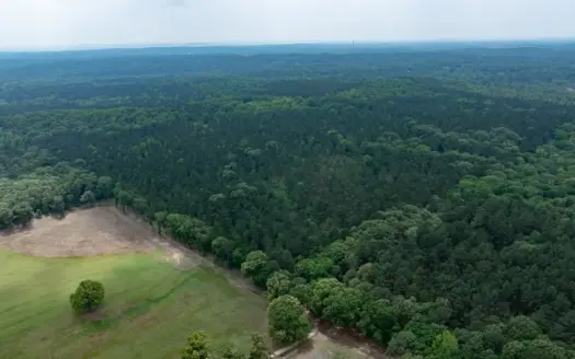 Timberland Investment Property for Sale Ben Wheeler Texas