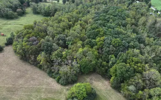 13.698 Acres± for Sell in Patrick County, VA