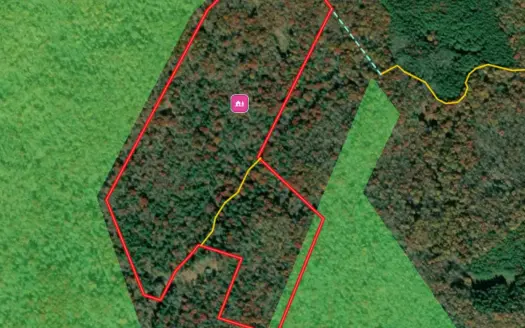 66 Acres of Mountain Paradise Bordering National Forest!