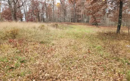 65 Acres in Adams WI to Hunt, Build and Camp