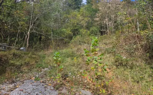 Recreational Land for Sale in Lee County