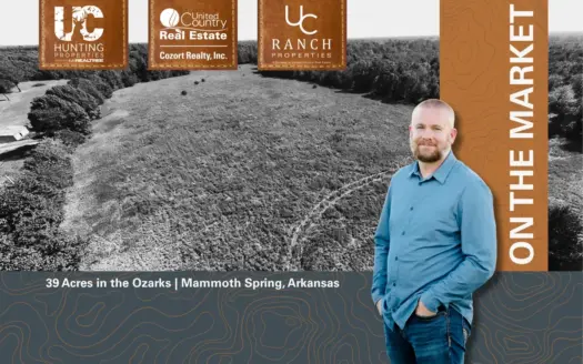 39 Acres for Sale in Mammoth Spring | The Arkansas Ozarks