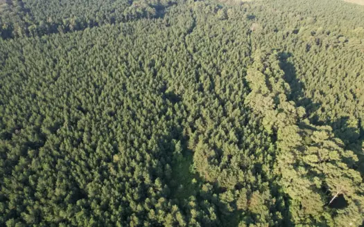 Timberland & Hunting Land For Sale in Bradley County, AR