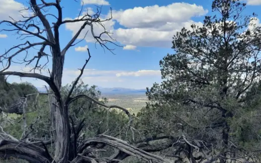 WANT YOUR OWN MOUNTAIN ?  42.56 acre off grid mountain property