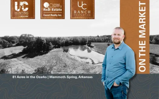 81 Acres for Sale in the Ozarks | Mammoth Spring, Arkansas