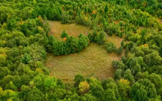 84± acres of heavily timbered recreational and hunting land in Ea