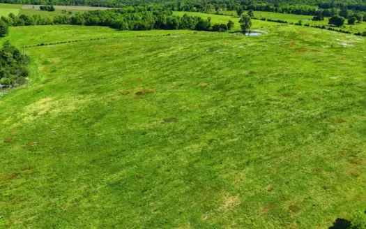 305 Acre Turnkey Cattle & Dairy Farm in the Missouri Ozarks