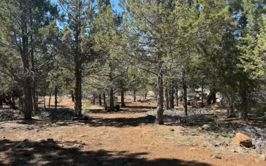 30 Acres of Recreational Land For Sale in Davis Creek, California
