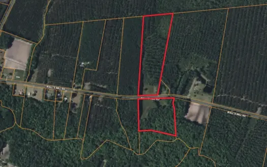 24-Acre Timberland & Hunting Property Near New Bern, NC