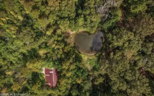 19.7+/- Acres of Wooded Land for Sale in Magnolia, MS