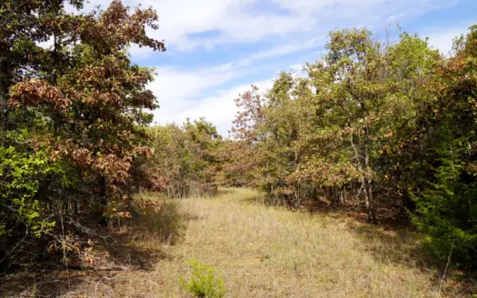80 Acres +/- Hunting/Recreational Land For Sale Central Oklahoma