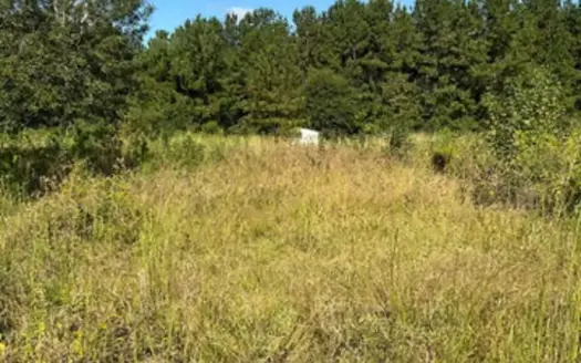 6.6 Acre Slice of Freedom Amite County Liberty Mississippi