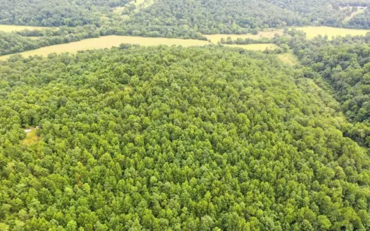20 ± Acre Wooded Off-Grid Retreat for Sale Near Salem, Missouri