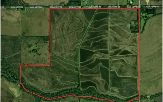 414 Acres Rice and Crawfish – Carl Hoppe Rd. – Iowa, LA