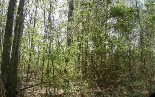 Land in West Monroe La for Sale