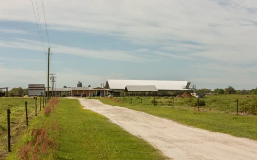 Fully Functioning Dairy Farm for Sale in Live Oak, Florida