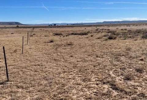 Rural Neighborhood Commercial Lot – 1 Acre – Seligman Az