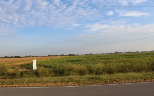 Pemiscot County Highly Tillable Farm Land for Sale Missouri