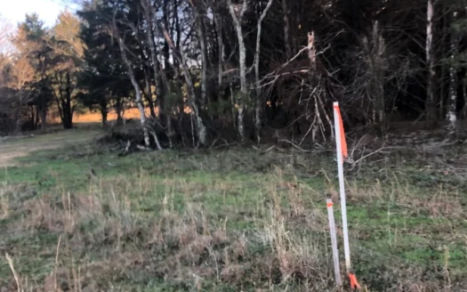 Cabin in Southeastern Oklahoma Adjoining National Forest