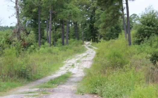 20+ Acres/ Commercial Site