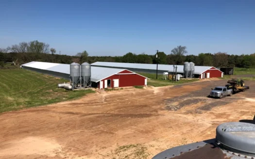 Well Performing Poultry Farm in North East Texas