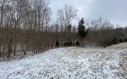 4 Acres Lot for Sale Near Smith Grove Ky.