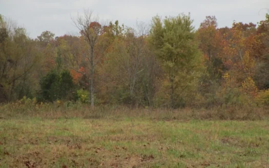 Vacant Land for Sale in the Missouri Ozarks
