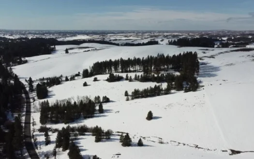 North Idaho Acreage 23 Acres Idaho Land Near Moscow