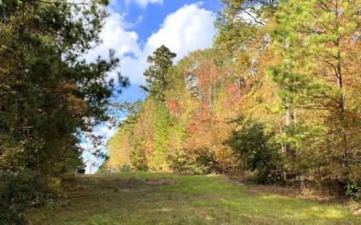 13 Acres Hunting Property for Sale Jackson Parish, La