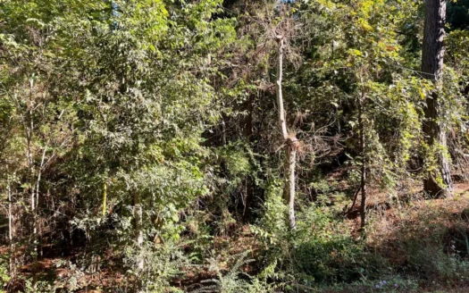 Rusk Texas Lots for Sale