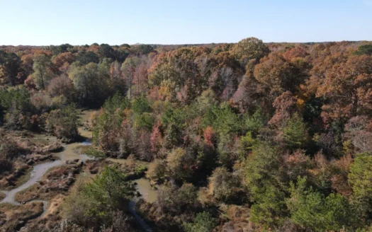 Hunting Tract in Grant County Arkansas