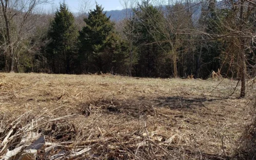 8.09 Unrestricted Acres Of East Tennessee Property for Sale