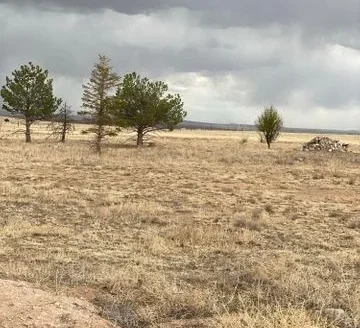 Estancia Valley New Mexico Land for Sale with Utilities