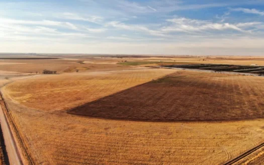 Irrigated Farm in Parmer County Texas