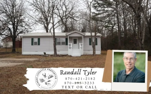 Ozarks in Town Home for Sale Salem Arkansas