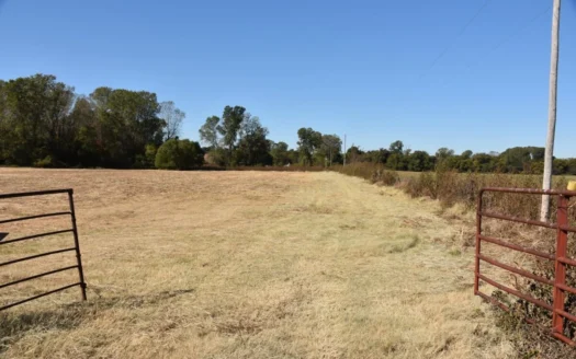 Hunting, Recreation, Land for Sale, Greenhouse, Deer, Turkey