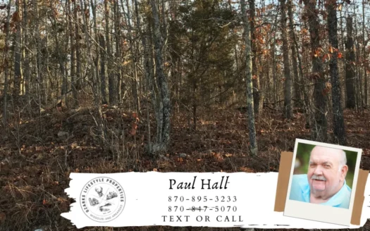 Corner Lot for Sale in Mammoth Spring, Ar