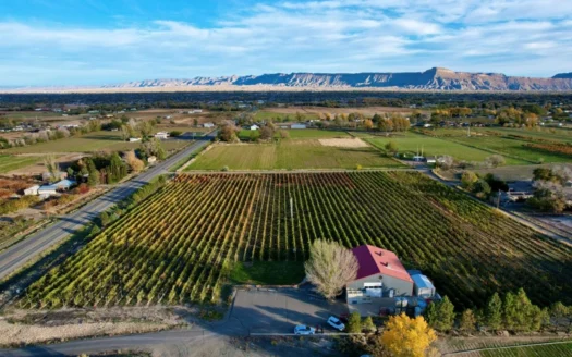 Colorado Whitewater Hill Vineyards and Winery for Sale